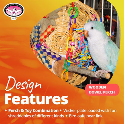 Super Bird Creations SB543 Busy Birdie Play Perch - Foraging Bird Toy, Small & Medium Bird Size - Parakeets, Cockatiels, Small Conures - Interactive Elements - Stimulating Playtime - 9.5" x 9.5" x 6"