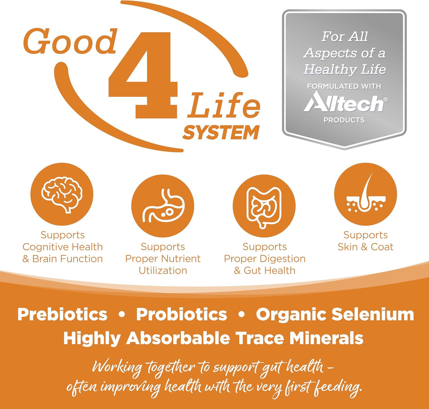 NutriSource Grain Free Lamb Recipe Dog Food, Premium Wet Dog Food, 12.3 Ounce (Pack of 12)