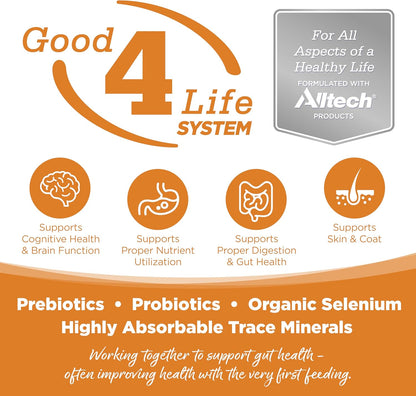 NutriSource Grain Free Lamb Recipe Dog Food, Premium Wet Dog Food, 12.3 Ounce (Pack of 12)