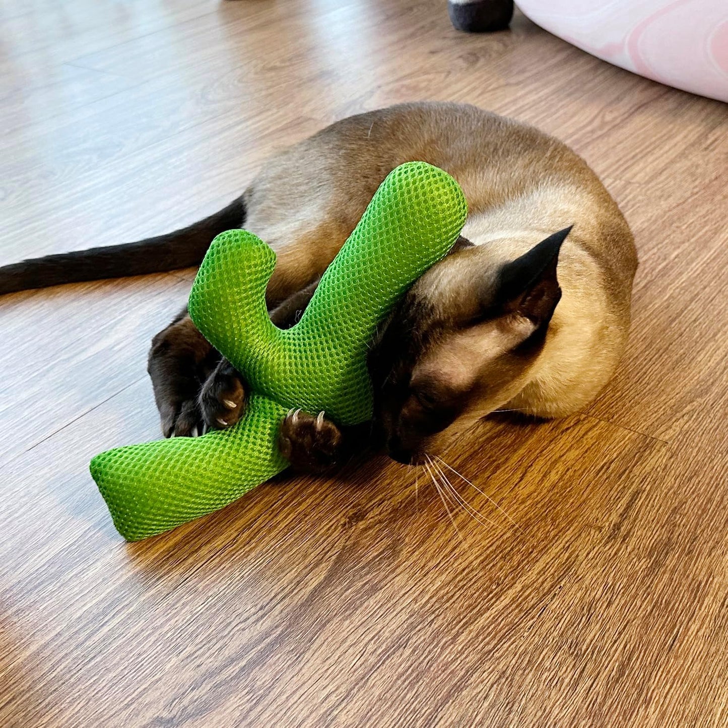 TTcat Catnip Silvervine Matatabi Pillow for Cats & Kittens,Large Cat Cactus Toy Cat Kicker Toy Chew Toy for Indoor Cats.