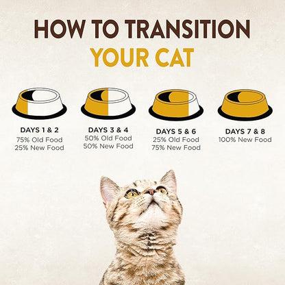 Wellness CORE Signature Selects Chunky Adult Wet Cat Food, Natural, Protein-Rich, Grain Free, 5.3 Ounce, 12 Pack (Chicken & Turkey)