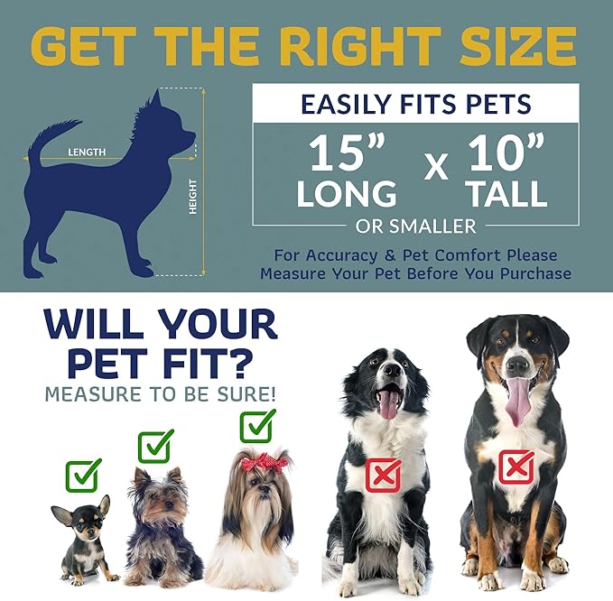 Katziela Pet Carrier - Airline Compliant Dog Carrier - TSA Approved Pet Carrier for Small Dogs and Cats - Soft FAA Travel Airplane Dog Carrier Luggage (Light Grey/Blue-Pro)