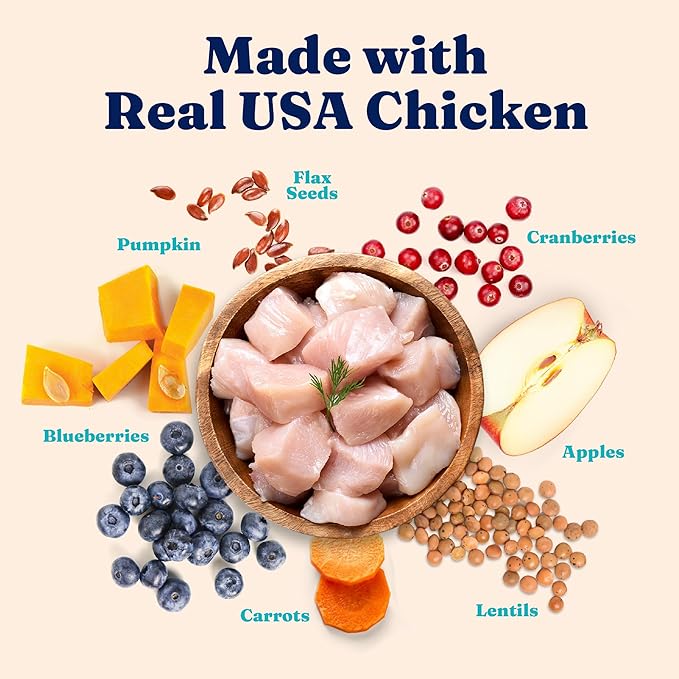 Solid Gold Indoor Dry Cat Food - Grain Free & Gluten Free - Chicken Cat Food Dry Kibble for Indoor Cats w/Probiotics & Fiber for Gut Health - Sensitive Stomach & Hairball Support for Adult Cats - 3LB