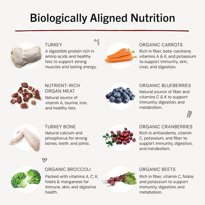 Stella & Chewy's Freeze-Dried Raw Dinner Patties - Turkey Recipe - High Protein Grain-Free Puppy & Dog Food - Perfect For Picky Eaters - 5.5 oz