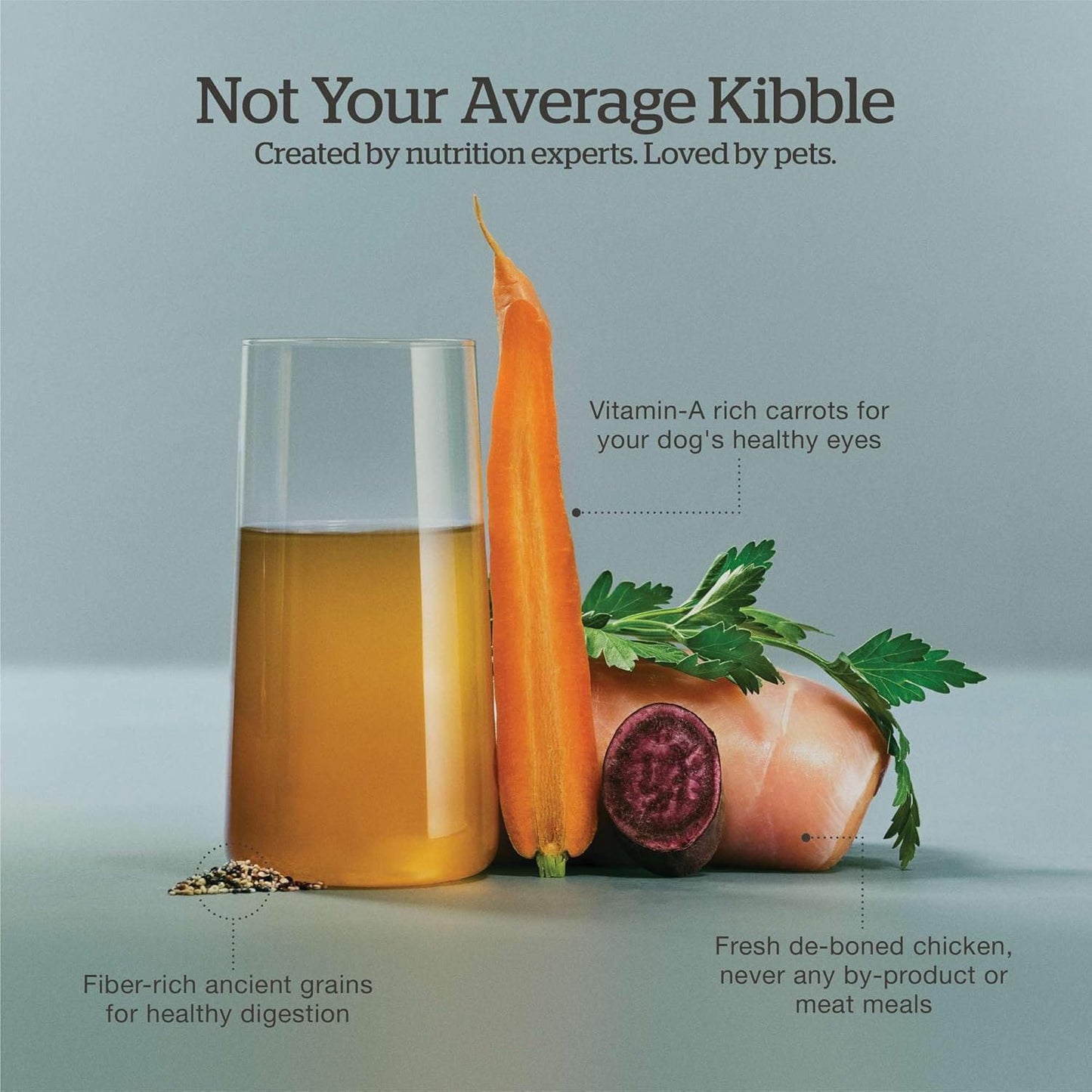 Now Fresh Good Gravy, Bone Broth Coated Kibble, Dry Dog Food, Chicken Adult Recipe with Grains, All Breed Size, 3.5 lb Bag