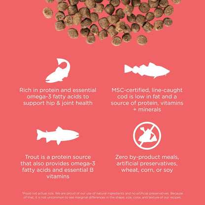 Go! Solutions Carnivore, Grain-Free, Protein Rich Dry Cat Food, Salmon and Cod Recipe, 16 lb Bag