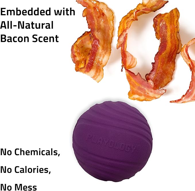 Playology Dog Toys | Dual Layer Ball Durable Chew Toy for Aggressive Chewers | Jumbo Bacon Scented Toy - Easy to Clean and Made from Non Toxic Materials