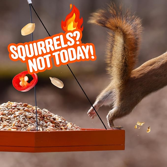 No Mess Sad Squirrels Hot Bird Seed – 10 lb. Spicy Shell-Free Blend with Peanuts, Sunflower Hearts & Chili Pepper Oil – No Waste, Squirrel-Resistant Bird Food for Outside Feeders
