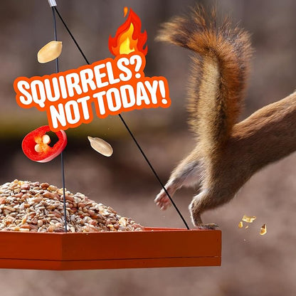 No Mess Sad Squirrels Hot Bird Seed – 10 lb. Spicy Shell-Free Blend with Peanuts, Sunflower Hearts & Chili Pepper Oil – No Waste, Squirrel-Resistant Bird Food for Outside Feeders