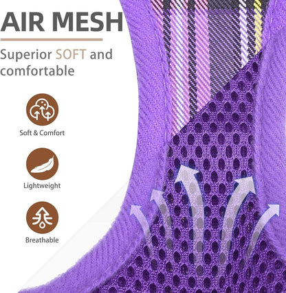 PUPTECK Adjustable Dog Harness Collar and Leash Set Step in No Pull Pet Harness for Small Medium Dogs Puppy and Cats Outdoor Walking Running, Soft Mesh Padded Reflective Vest Harnesses, Purple L