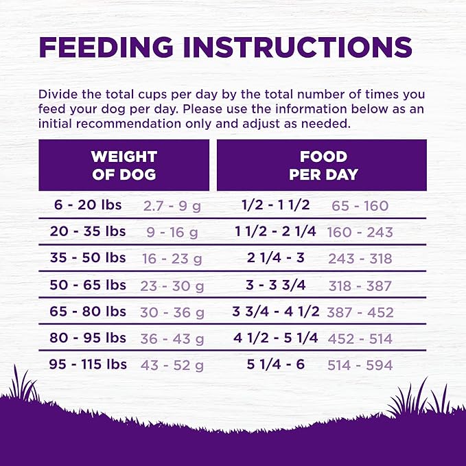 Wellness Complete Health Sensitive Skin & Stomach Dry Dog Food, Wholesome Grains, Salmon & Rice Recipe, (38-Pound Bag)