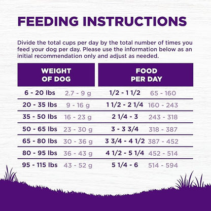 Wellness Complete Health Sensitive Skin & Stomach Dry Dog Food, Wholesome Grains, Salmon & Rice Recipe, (38-Pound Bag)