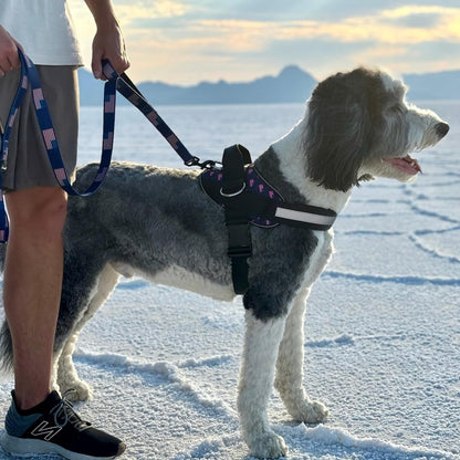 ShawnCo Essential Dog Harness, No-Pull Pet Vest with 3 Leash Clips, No Choke, Reflective, Adjustable and Padded, for Easy Walking and Training for Small, Medium and Large Dogs (USA Flag,XL)