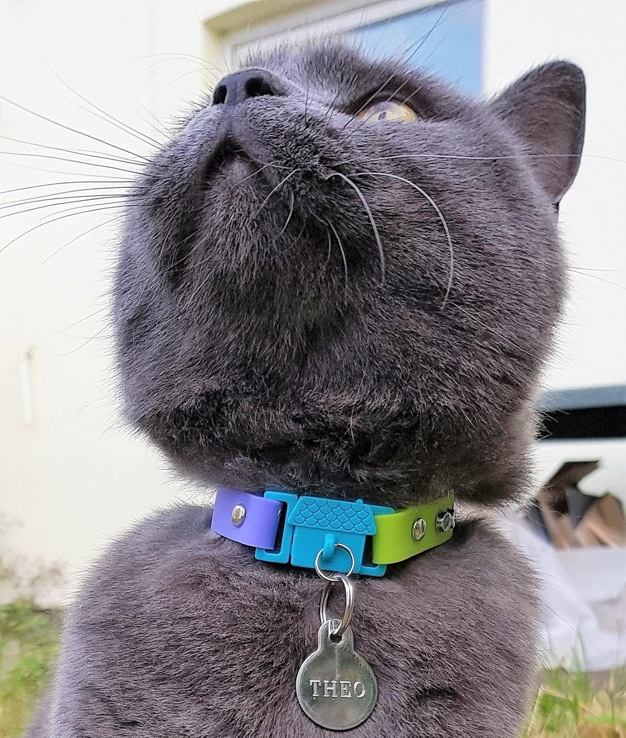 Kittyrama Cat & Kitten Collar - Cat Friendly Award Winner - Soft, Comfortable, Hypoallergenic, with Release Buckle - Seen in Vogue Magazine - Tahiti - Other Styles Available