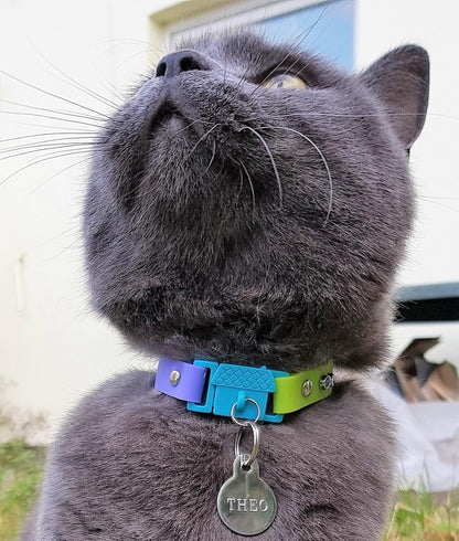 Kittyrama Cat & Kitten Collar - Cat Friendly Award Winner - Soft, Comfortable, Hypoallergenic, with Release Buckle - Seen in Vogue Magazine - Tahiti - Other Styles Available