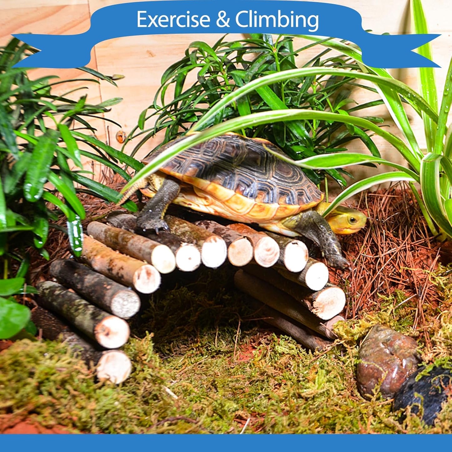 HERCOCCI Bearded Dragon Tank Accessories, Reptile Bridge Hammock Plants Jungle Climbing Vines Terrarium Decor for Bearded Dragon Snake Gecko Lizard