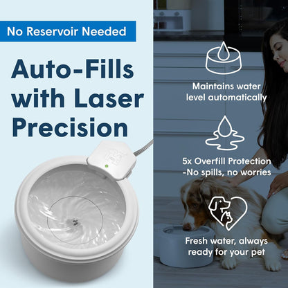 Always Full® 7" Pet Water Bowl and Wall Unit Bundle – Self-Refilling, Clean Filtered Water, Easy Home Connection, App-Enabled Hydration Tracking, Cat and Dog Water Bowls