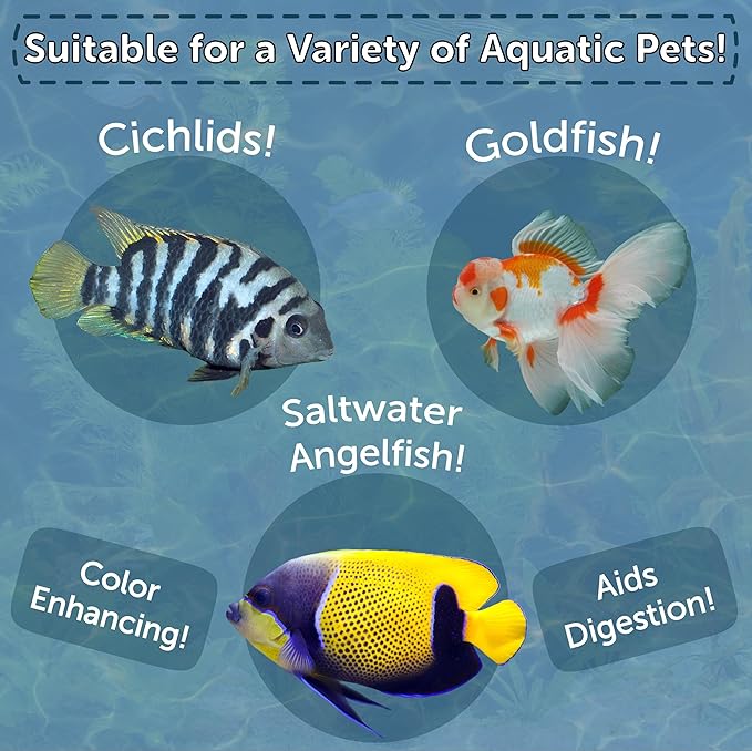 Aquatic Foods Inc. Brine Shrimp, Freeze Dried Floating Brine Cubes for Cichlids, Discus, Tetras, Goldfish, Bettas, Angel Fish, Marines, All Tropicals, Aquatic Turtles 1.3oz Canister