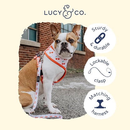 Lucy & Co. Cheery Cherries - Designer Dog Leash for Small to Large Dogs - Padded Handle for Comfort - Small, Red Gingham Cherries - 5 Foot