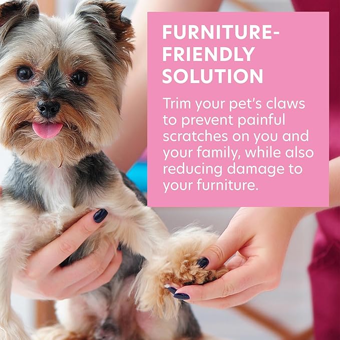 Bona Fide Beauty Pet Nail File Made of Czech Glass, Quiet and Painless Pet Nail Filer for Small Dogs, Cats, Birds, and Rabbits