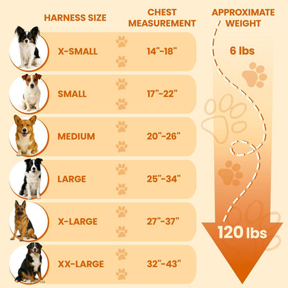 Bark Appeal Pink Plaid No-Pull Dog Harness for Extra Small Sized Pets – Adjustable, Reflective Vest with 3 Leash Clips for Added Control, Easy Walks & Training – XS