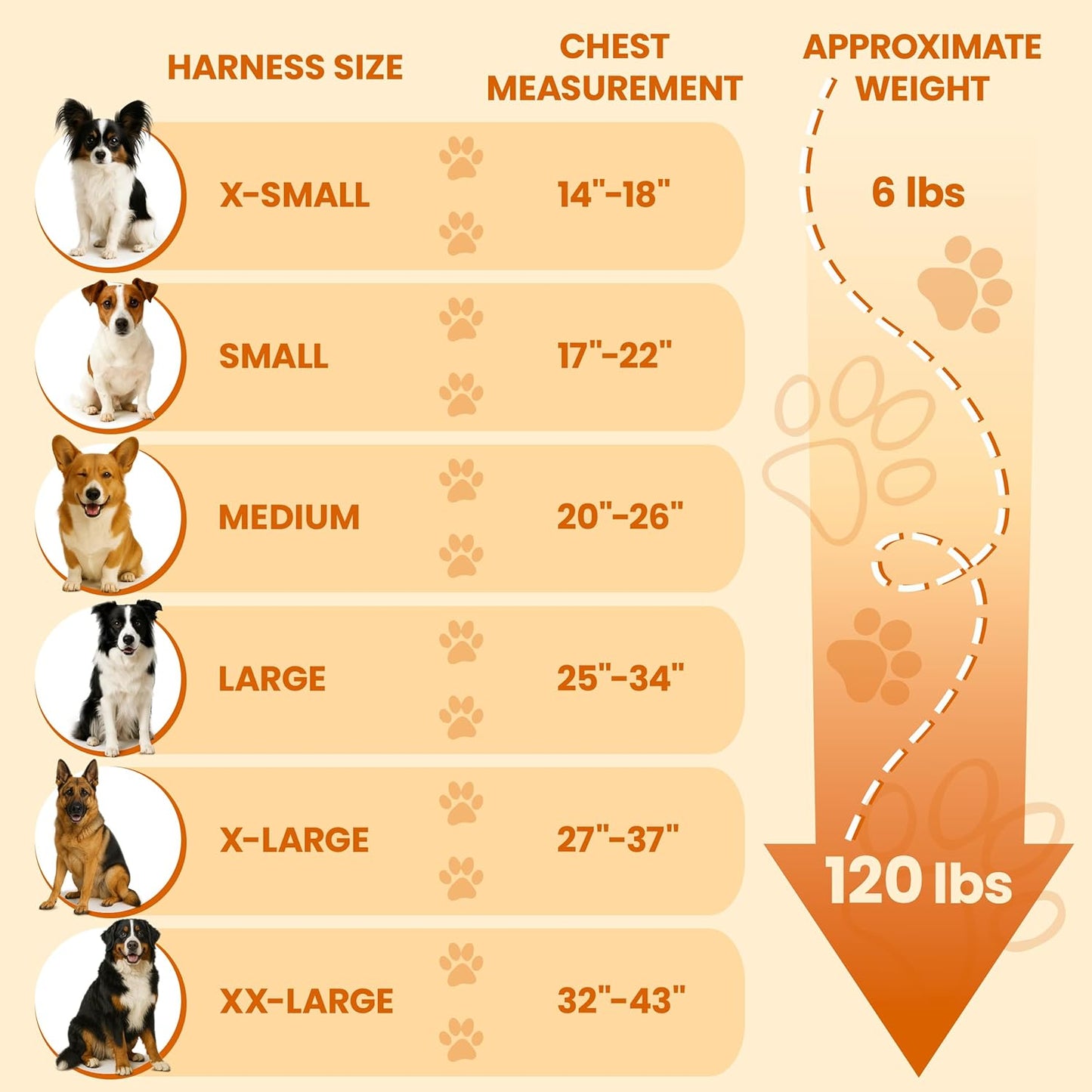 Bark Appeal Tan Plaid No-Pull Dog Harness for Medium to Large Sized Pets – Adjustable, Reflective Vest with 3 Leash Clips for Added Control, Easy Walks & Training – Large