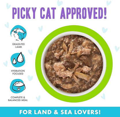 Weruva B.F.F. OMG - Best Feline Friend Oh My Gravy!, Shazaam! with Lamb & Tuna in Gravy Cat Food, 2.8oz Pouch (Pack of 12)