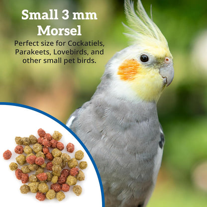 Scenic Hot & Healthy Food for Cockatiels, Parakeet, Lovebird Food
