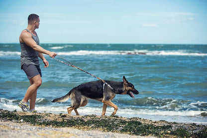 Dog Harness, No Pull Dogs Harness and Multi-Function Leash Set for Medium Dogs Easy Walk Everyday Adjustable Soft Dog Vest Harness Fashionable Dog Accessories Camouflage Blue-Relaxed Medium