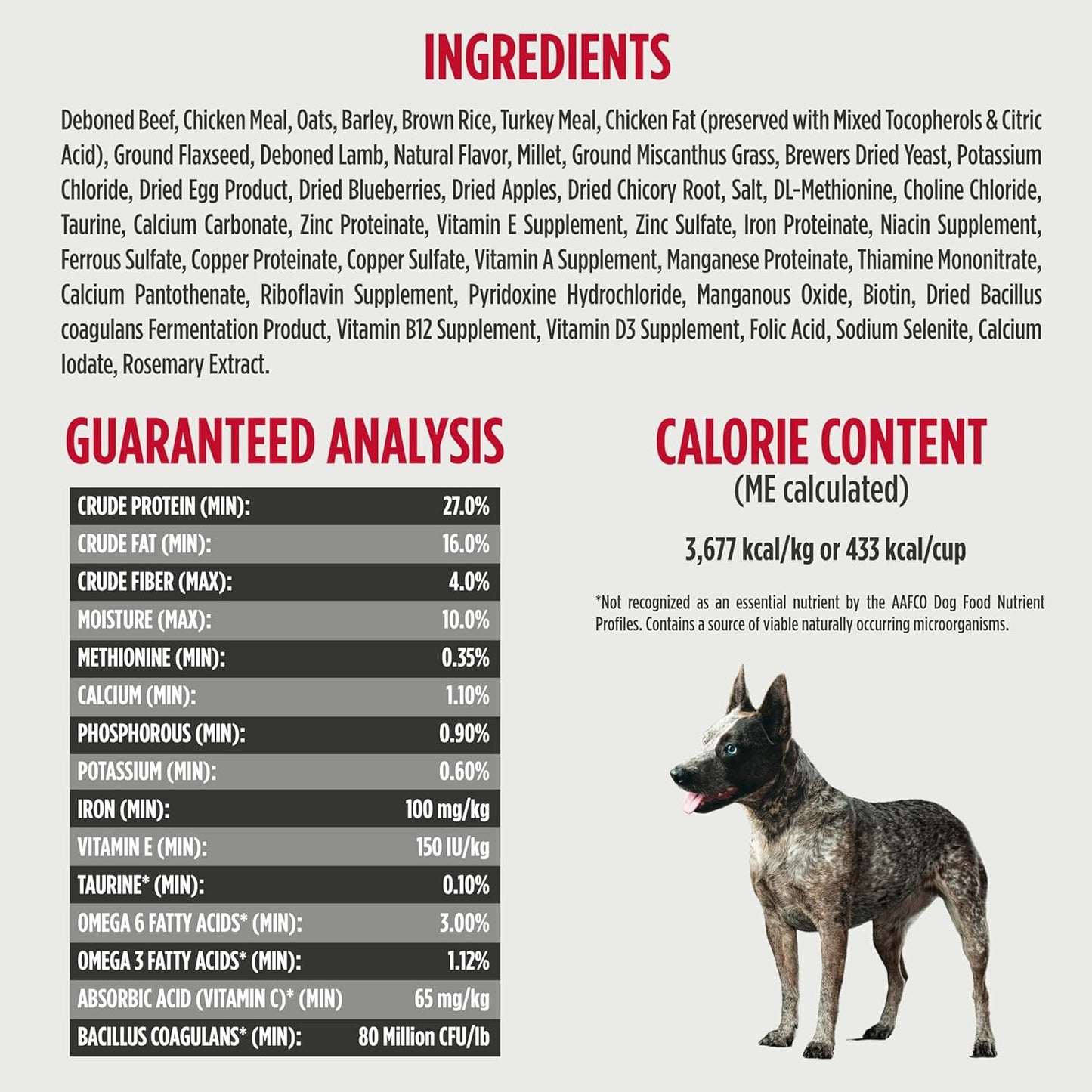 Nulo Frontrunner Ancient Grains High-Protein Dog Food, Beef, Barley, & Lamb Recipe- Natural Dry Dog Food with Probiotics, Grain-Inclusive Kibble for Adult Dogs, 5 lb Bag