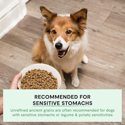 Open Farm, Ancient Grains Dry Dog Food, Protein-Rich & Nutrient Dense, 90% Animal Protein Mixed with Non-GMO Fruits, Veggies and Superfoods, Wild Caught Salmon Recipe, 22lb Bag