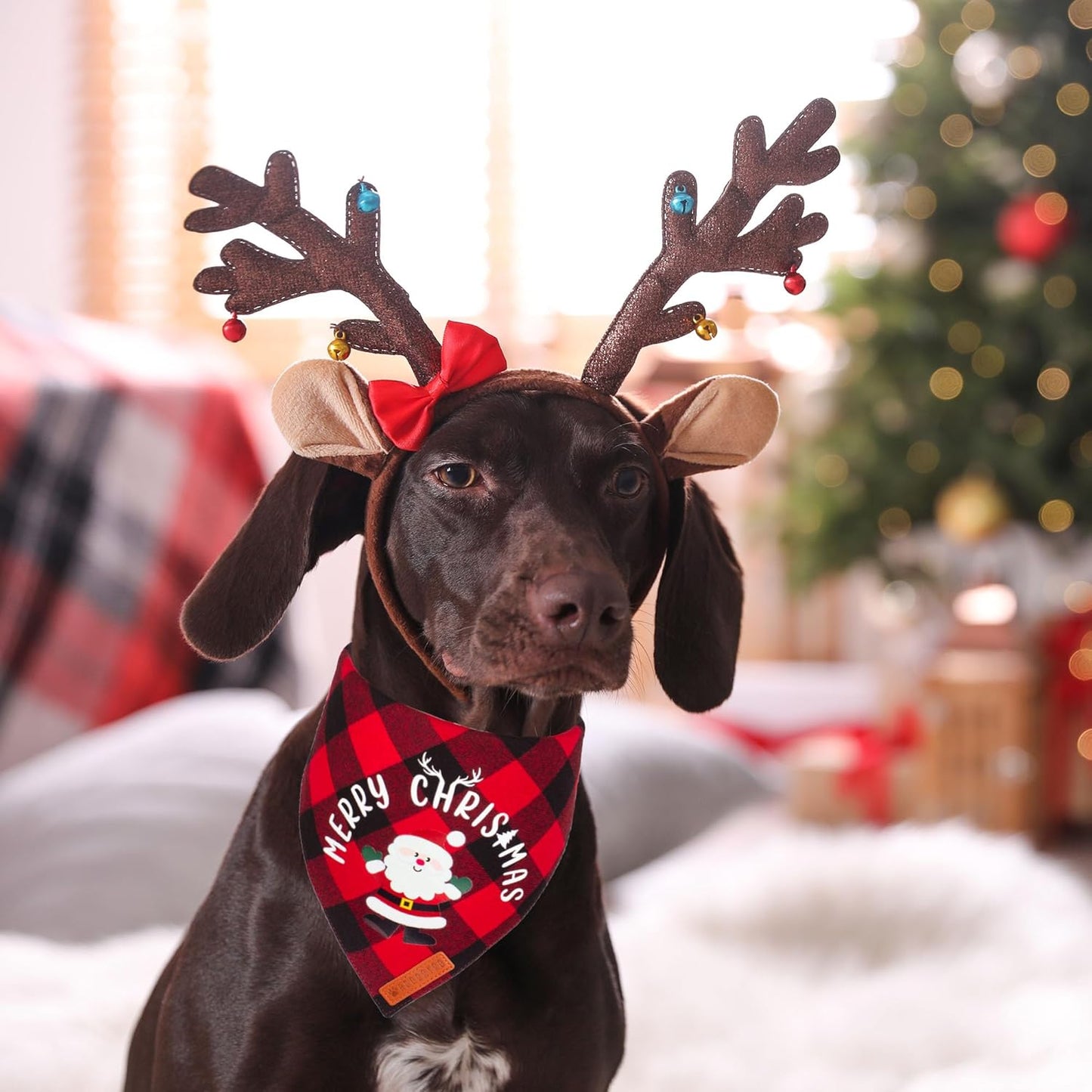 ADOGGYGO Christmas Dog Bandanas, Red Green Plaid Pet Scarf, Premium Cotton Fabric, Xmas Santa Snowman Christmas Bandanas for Medium Large Dogs Pets (Large)