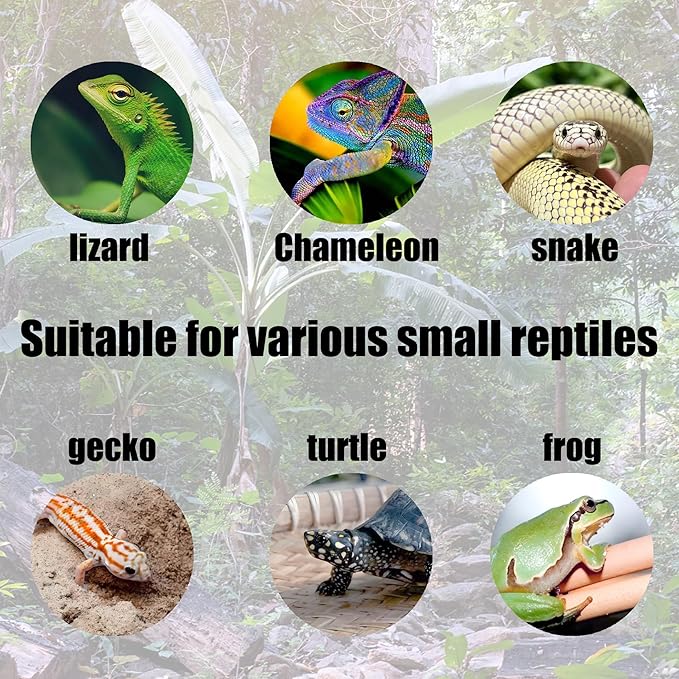 6pcs Reptile Bowls Set:Bearded Dragon Food Bowl,Gecko & Lizard Dish, Turtle Water Bowl&Cricket Keeper for Reptiles