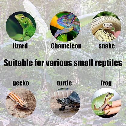 6pcs Reptile Bowls Set:Bearded Dragon Food Bowl,Gecko & Lizard Dish, Turtle Water Bowl&Cricket Keeper for Reptiles