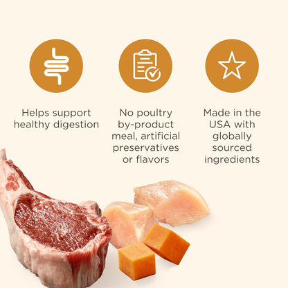 Nutrish Gentle Digestion Real Lamb, Pumpkin & Chicken Recipe Chunks in Gravy Wet Dog Food, 13 oz. Can, 12 Count (Rachael Ray)