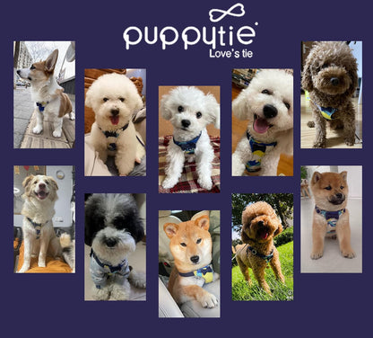 Puppytie No Pull Small Dog Harness with Multifunction Dog Leash,Lightweight Soft Adjustable No Choke Escape Proof Pet Harness Vest Pet Harness Vest,Suede Bow Navy,S