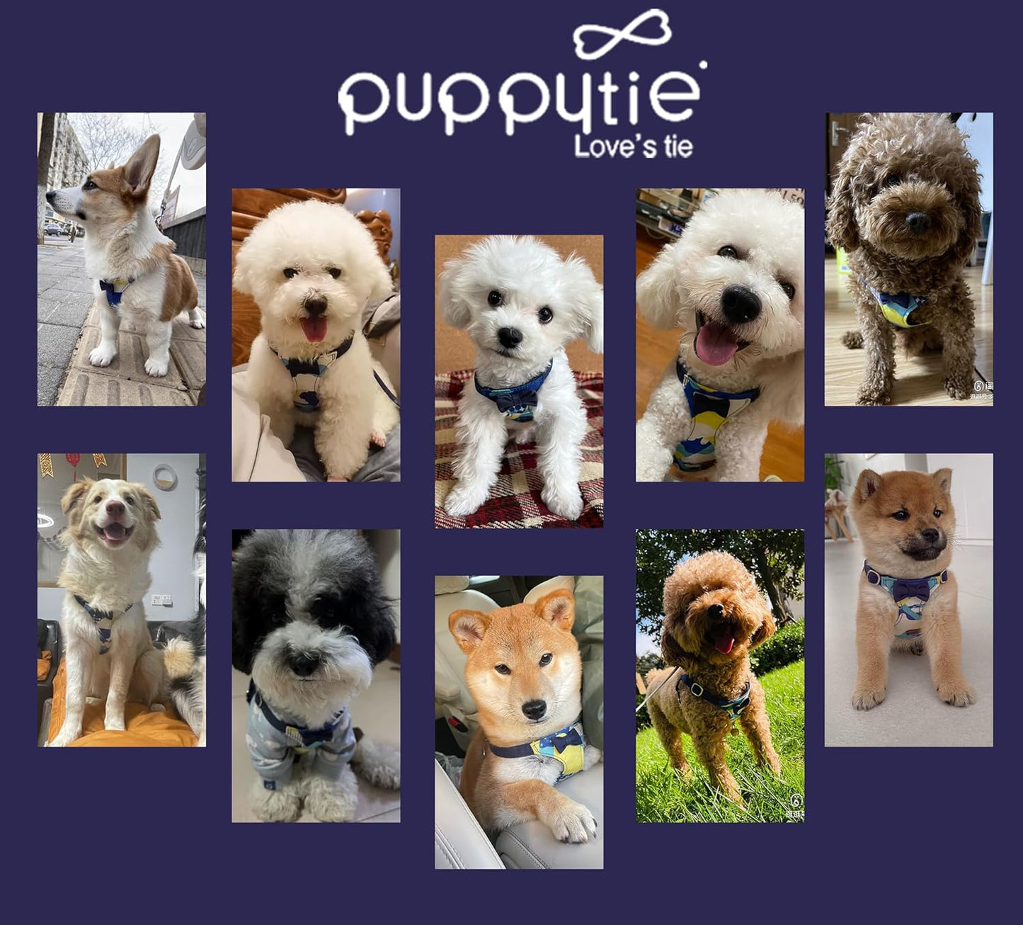 Puppytie No Pull xs Dog Harness with Multifunction Dog Leash,Soft Adjustable No Choke Escape Proof Pet Harness Vest,Suede Bow Navy,XXS