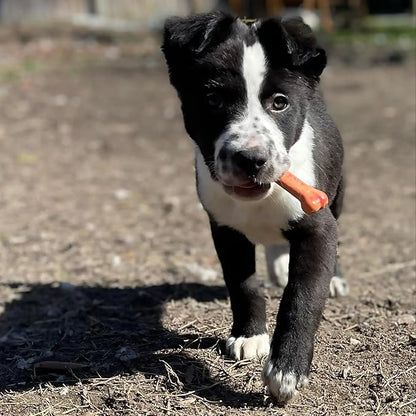 Nylabone Original Bone Power Chew Toy for Dogs, Durable Dog Toys for Aggressive Chewers, Basted Blast Bacon & Chicken Flavor, Medium - Up to 35 lbs, 2 Pack