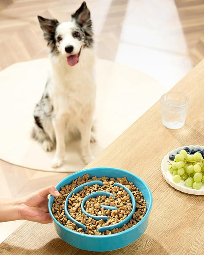 Ceramic Slow Feeder Bowls for Large Dogs, 3.0 Cups Slow Feeder for Fast Eaters, 48oz, 10in, Blue