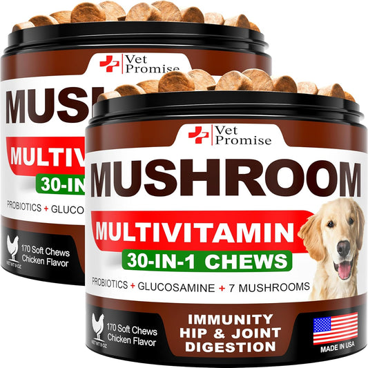 (2 Pack) Mushroom for Dogs - 340 Chews - Turkey Tail - Mushroom Supplement for Dogs - Lions Mane - Reishi - Immunity Support Multivitamin Vitamins - Joint Health - Energy - Gut - Skin - Made in USA
