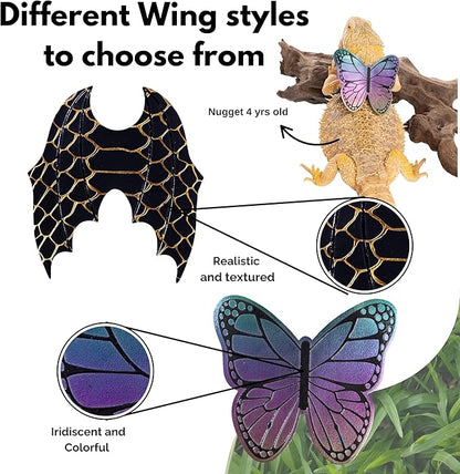 Adjustable Bearded Dragon Leash and Harness Set, Leopard Gecko Leash, Wings & Butterfly Wings, Comfortable Fit, Retractable and Escape-Proof Lizard Harness and Leash, Bearded Dragon Accessories.