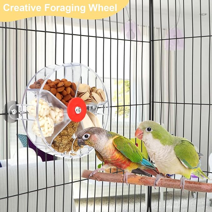 Bird Creative Foraging System Wheel Seed Food Ball Rotate Training Toy for Small and Medium Parrots Parakeet Cockatiel Conure (Clear)