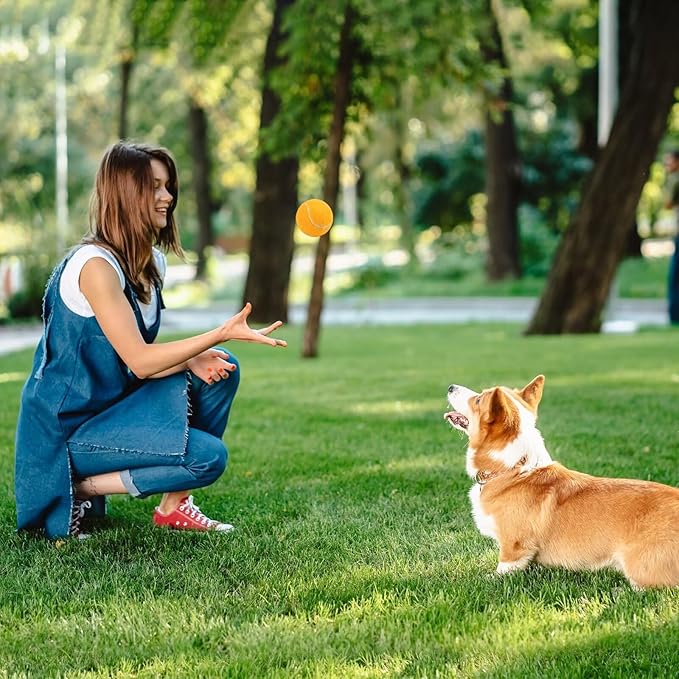 PrimePets Tennis Balls, 3pcs Natural Rubber Squeaky Balls for Dogs, Interactive Floating Dog Toy for Medium, Large Dogs