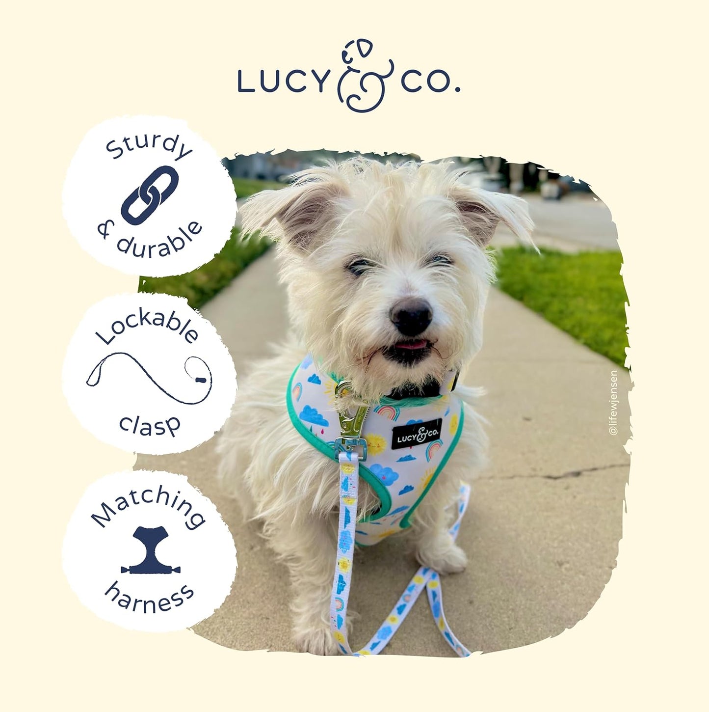 Lucy & Co. Designer Dog Leash - Pet Accessories - Thick Dog Leash - Padded Handle for Comfort - Ballet Bows - 5 Foot (White & Pink Bows, Large)