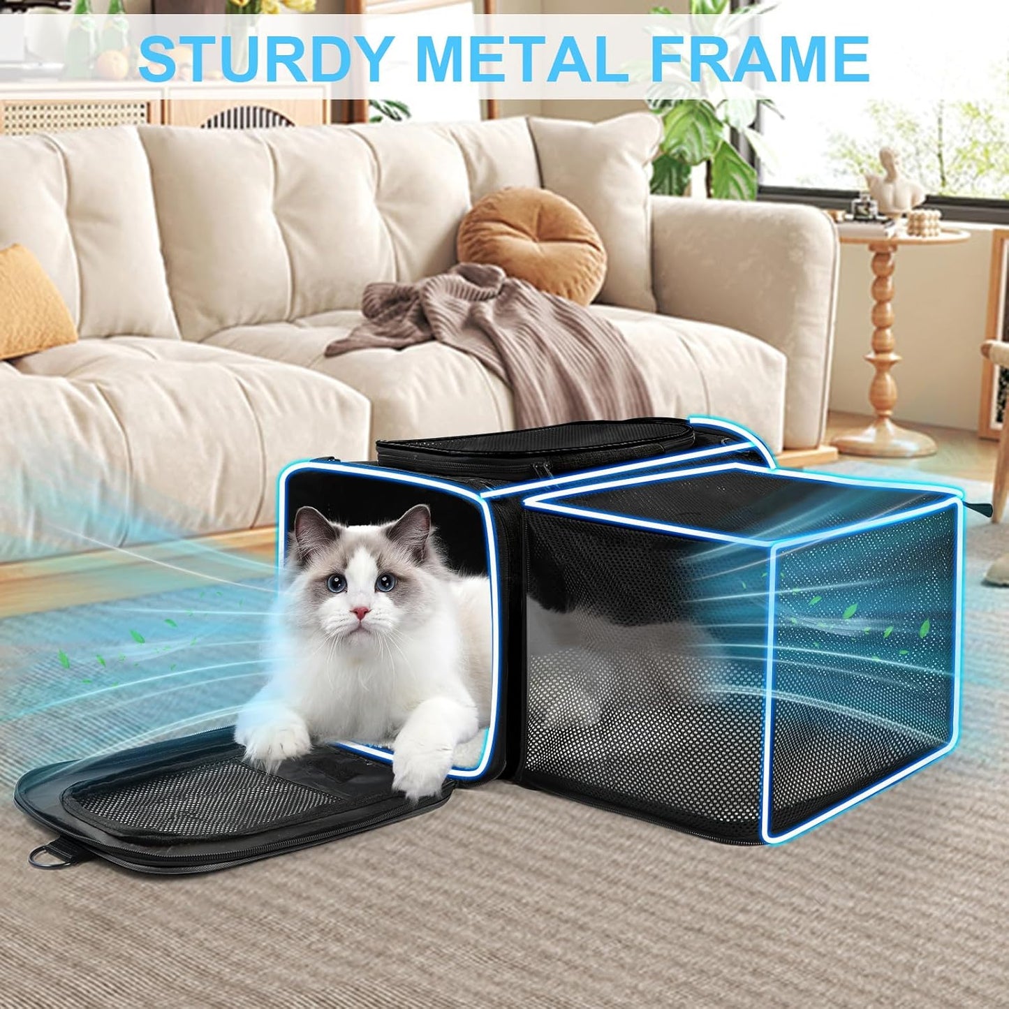 Pet Carrier Airline Approved, Expandable Pet Cat Carriers with Wheels for Dogs, Airline Approved Cat Dog Carrier, TSA Approved Pet Carrier In Cabin, Pet Dog Cat Carrier Soft,Cat Travel Carriers(Black)