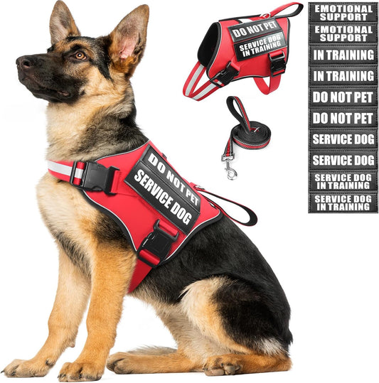 Service Dog Vest Harness and Leash Set+10 Patches,No Pull&Adjustable Reflective Dog Harness with Soft Padded Handle for Training/Everyday,Fit Small/Medium/Large/Extra-Large Dogs(Red XL)