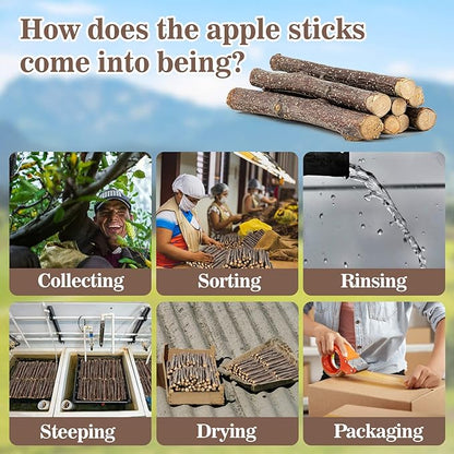 Sukh Natural Organic Apple Sticks - 250g Hamster Chew Stick Hams Rabbit Bunny Gerbil Guinea Pig Squirrel Chinchilla Small Animal Chew Sticks