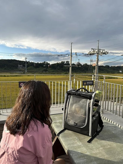 Birds Day Bird Carrier Backpack-Parrot Travel Cage with 2PCS Perch and Food Bowl, Stainless Steel Tray (Charcoal Gray)