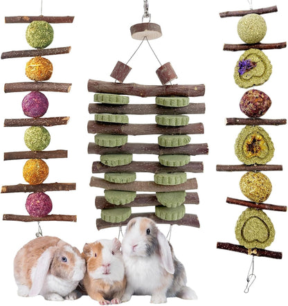 Hamiledyi Bunny Chew Toys Rabbit Hanging Toys for Teeth Grinding Rabbit Toys Natural Fruit Sticks Timothy Grass Cakes Chew Toys and Treats Improve Dental Health for Guinea Pig Hamster Chinchilla