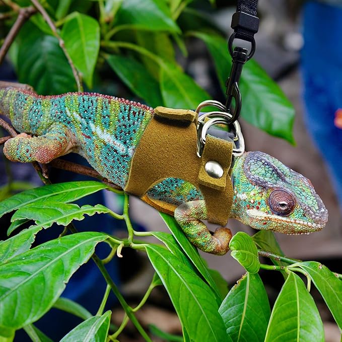 Bearded Dragon Harness and Leash Set, 3 Size Adjustable Soft Leather Reptile Leash, Lizard Harness with Retractable, Small Animal Outdoor Walking Vest with Traction Rope, 3 Pack (Brown)